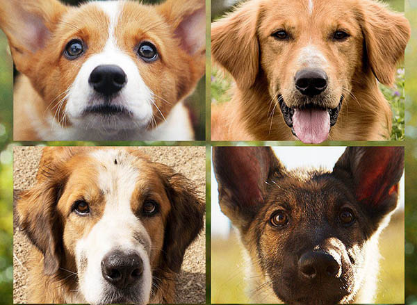 纽约爆发抗议:大批示威者高举辱警标语冲撞地铁闸机-星空体育官网